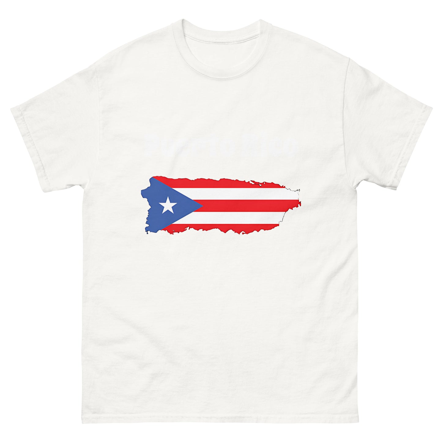 Unisex classic tee - PR FLAG